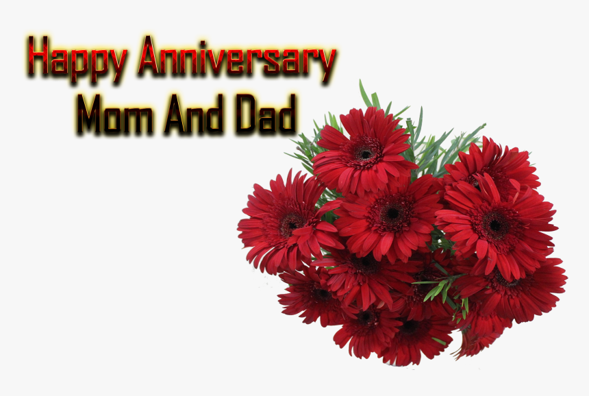 Happy Marriage Anniversary Wishes for Mummy and Papa (Parents)