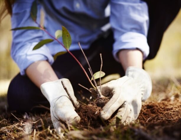 landscaping construction